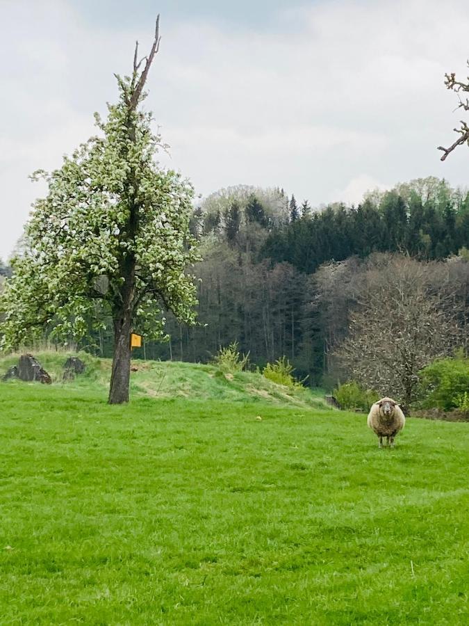 Gut Kalkhaeuschen, Ein Ort Mit Geschichte Daire Aachen Dış mekan fotoğraf